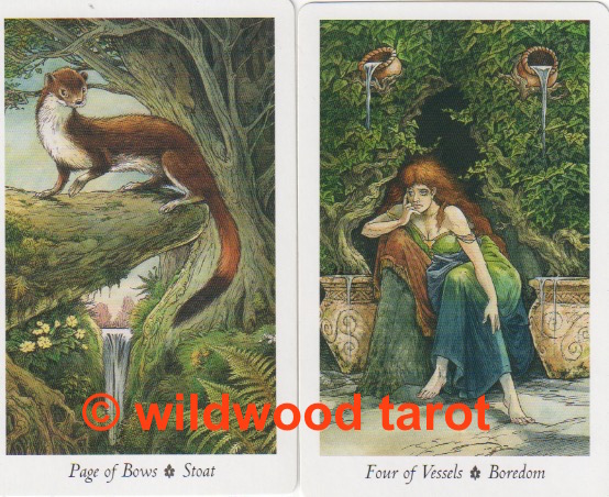 Wildwood Tarot | Page of Bows | Four of Vessels | Tarot Thrones