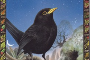 Frithing | Scottish Divination |Caitlín Matthews