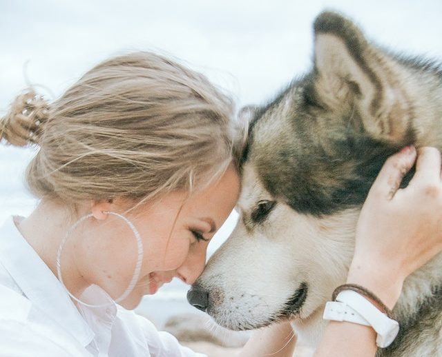 Lifetime Court Card Guardians