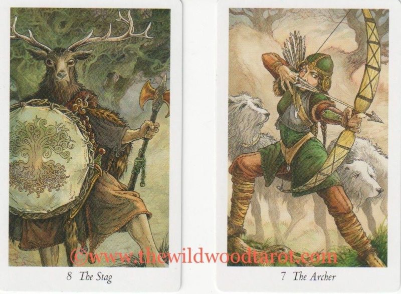 Stag and Archer from the Wildwood Tarot