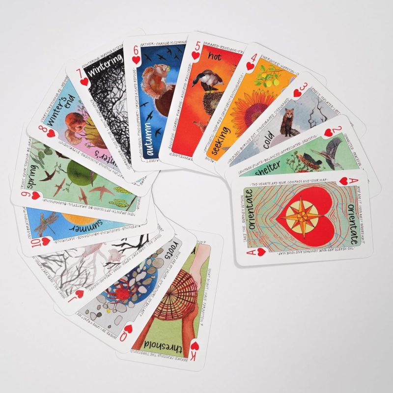 Being Human cards spread in fan